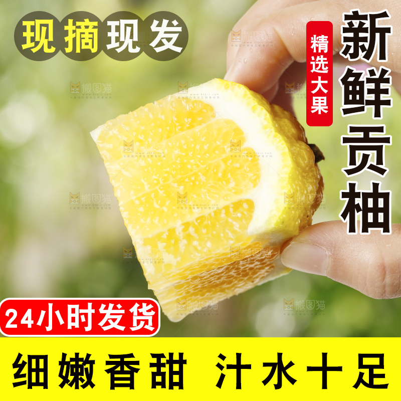 手里拿着贡柚果肉