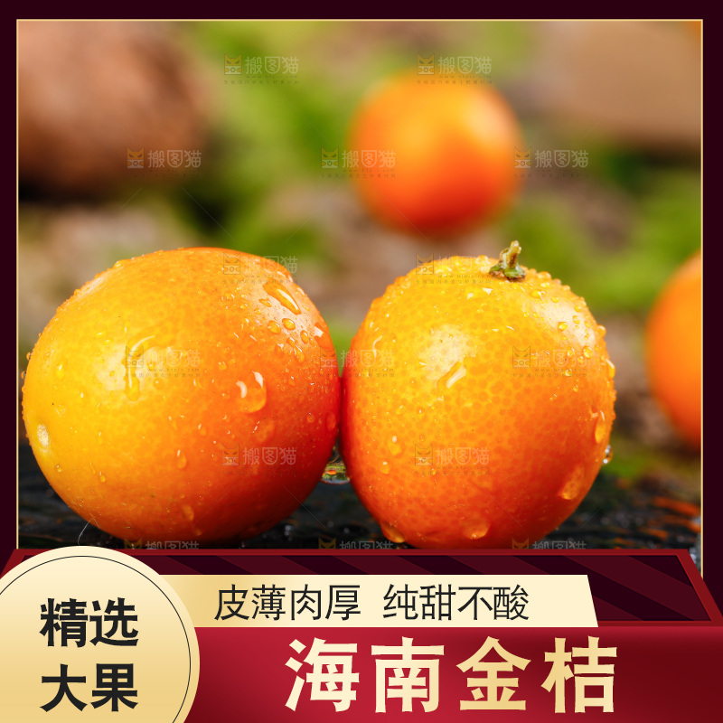 黑底上放着小金橘