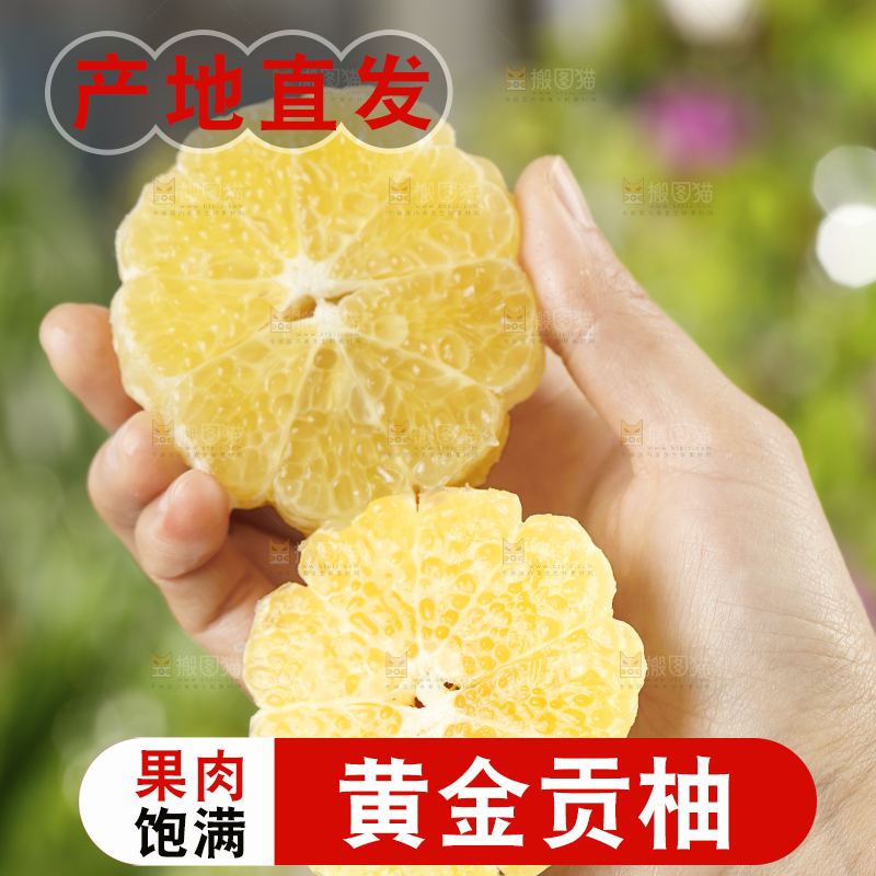 手里拿着贡柚果肉