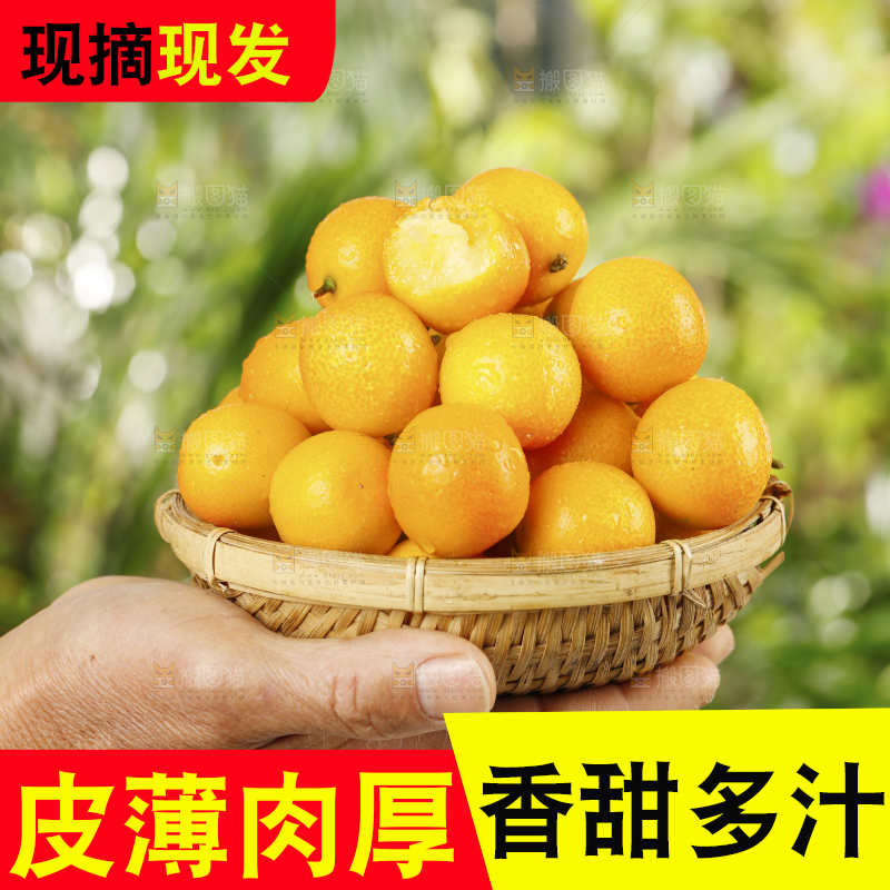 手里端着一篮金桔