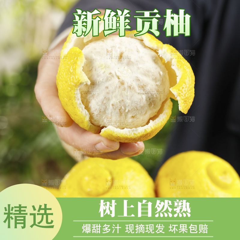 手里拿着怀化黄金贡柚