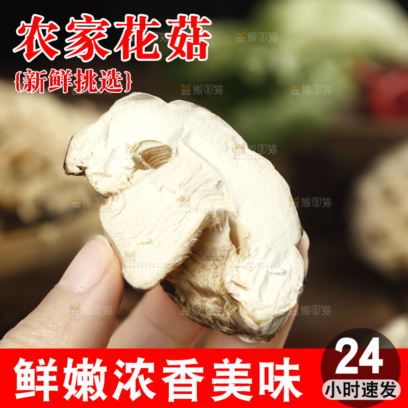 手里拿着花菇