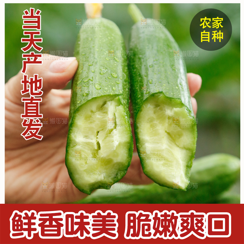 手里拿着掰开的黄瓜