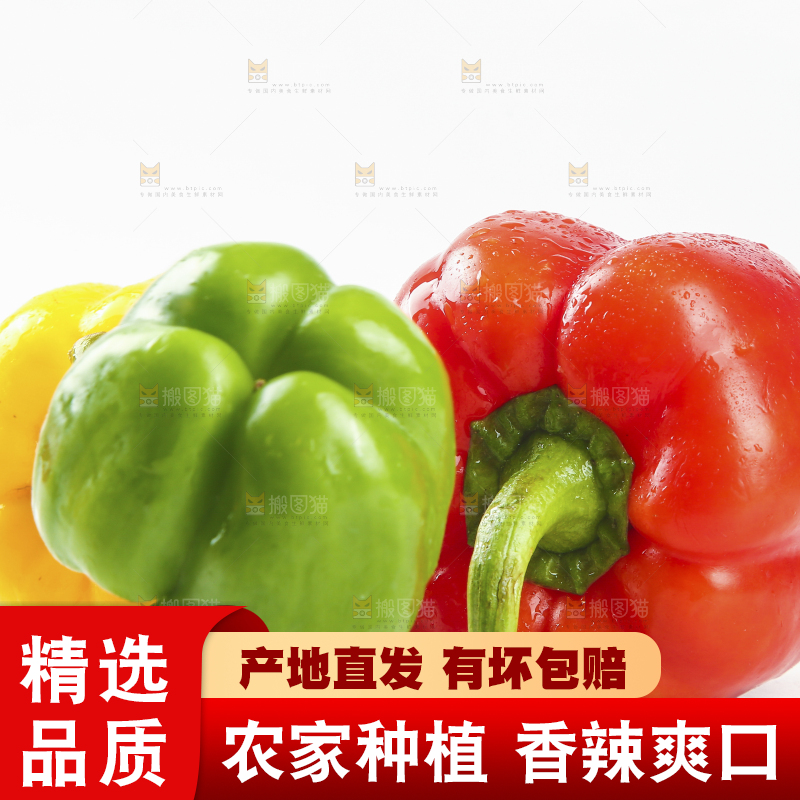白底上的五彩椒