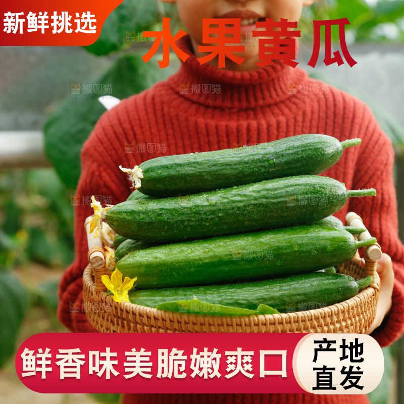 大棚女孩手里端着一篮水果黄瓜