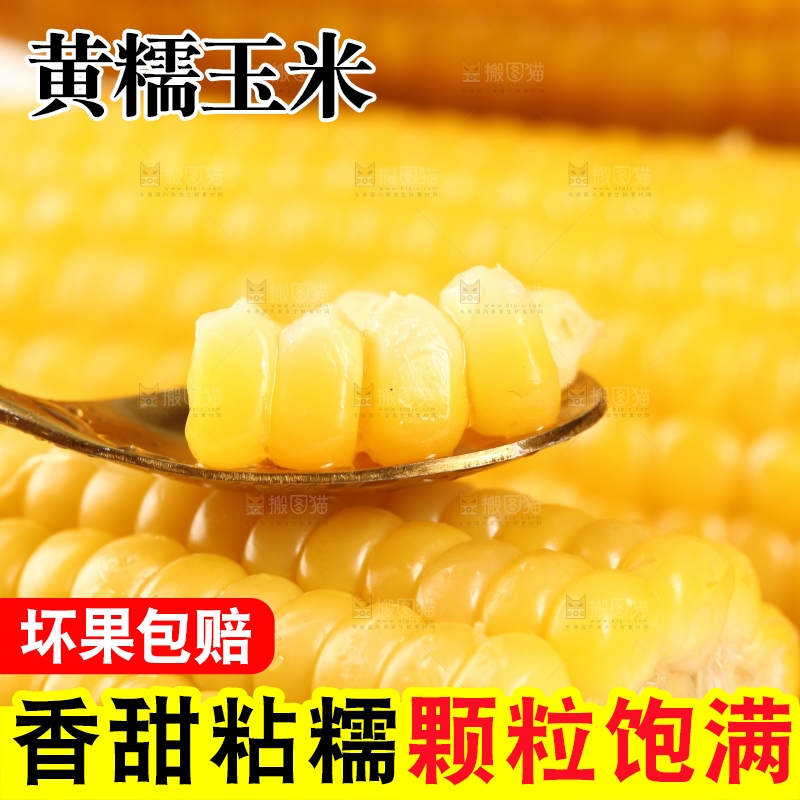 勺子里的玉米粒