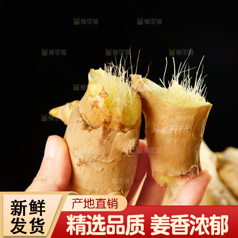 手里拿着生姜