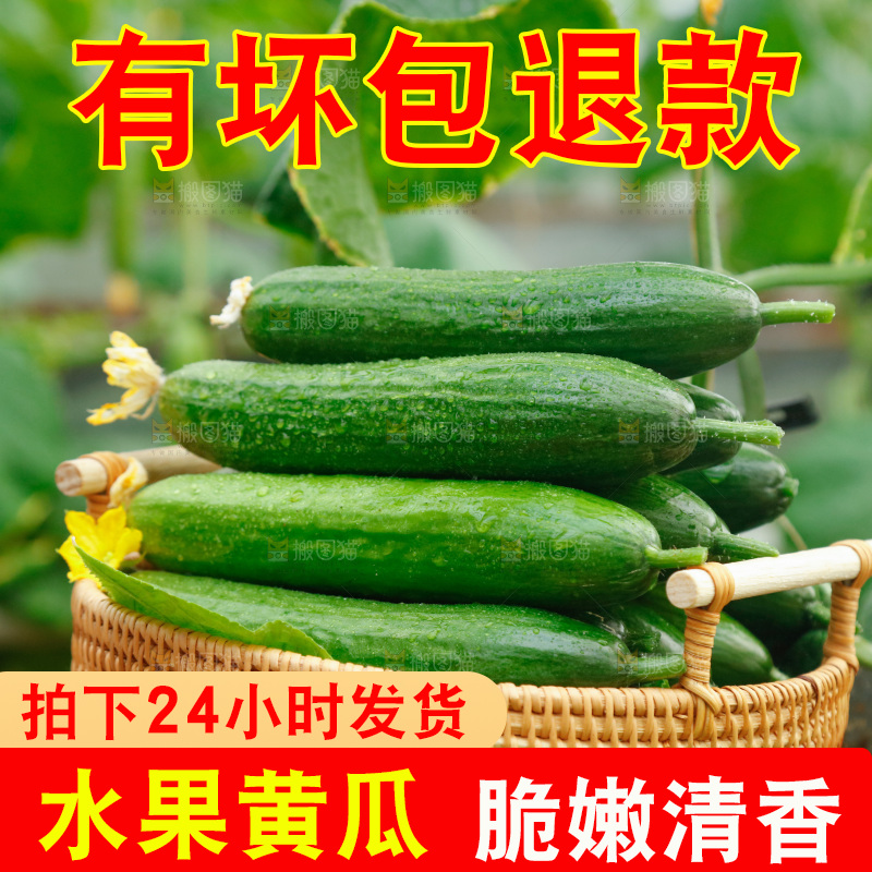 一篮水果小黄瓜
