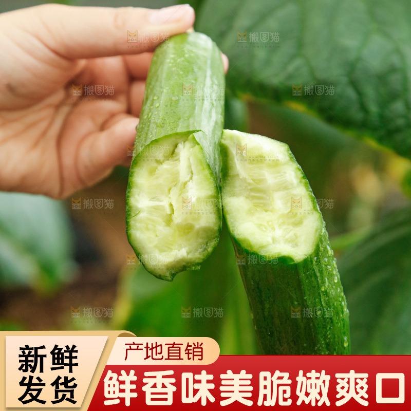 手里拿着掰开的黄瓜