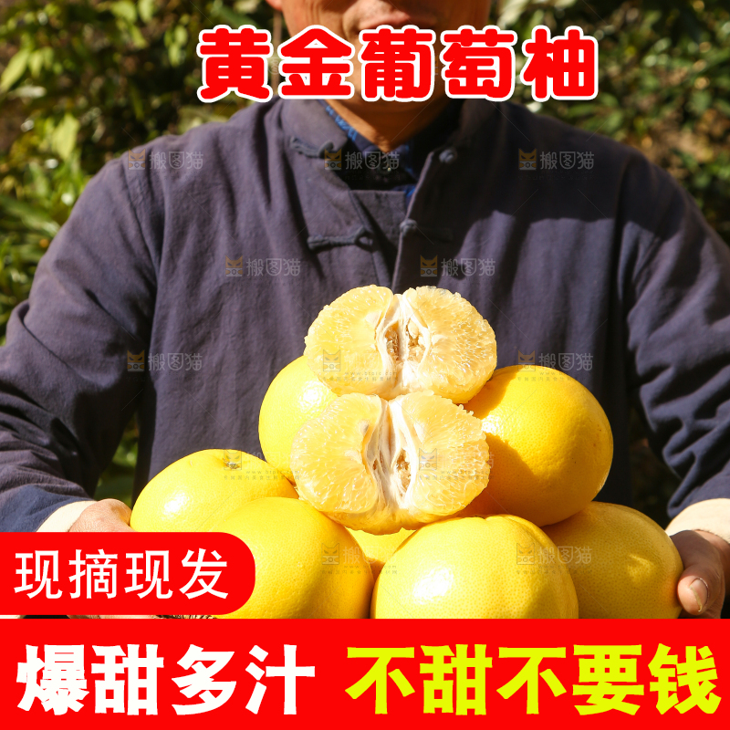 农民手里端着一篮新鲜黄金葡萄柚