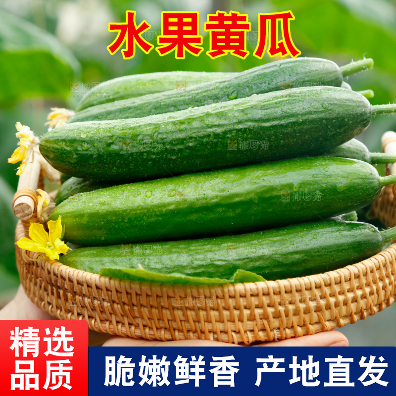 手里端着一篮水果黄瓜