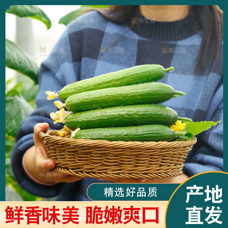 手里端着一篮水果黄瓜