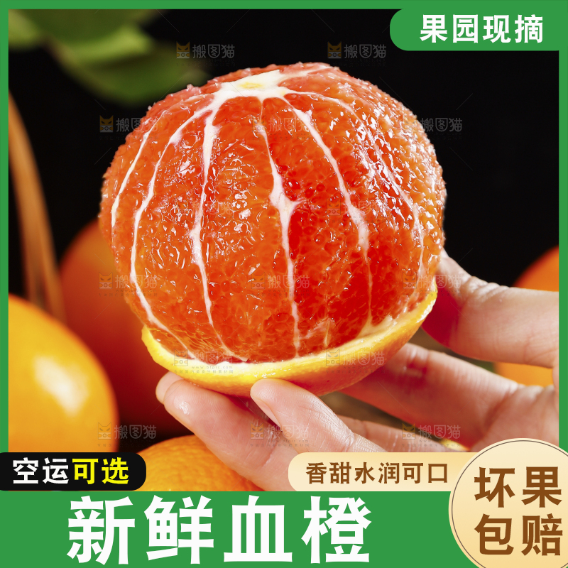 手里拿着中华红血橙