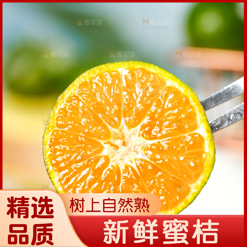 叉子上插着广西清香蜜桔