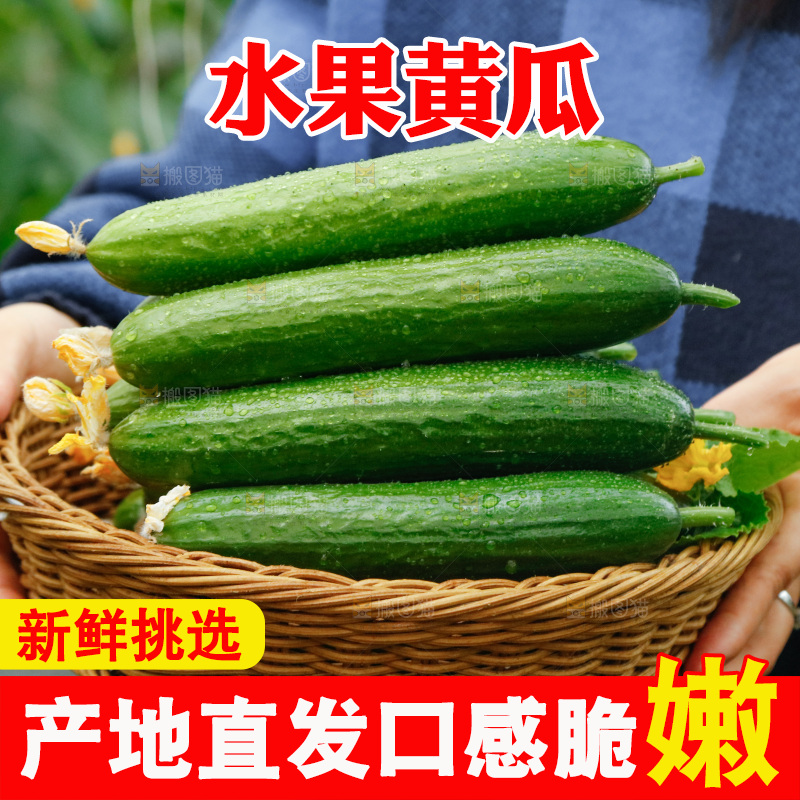 手里端着一篮水果黄瓜