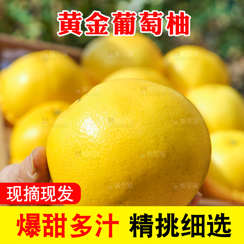 手里拿着黄金葡萄柚