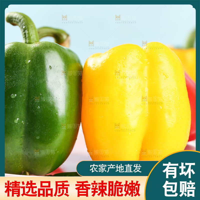 格子布上放着一盘五彩灯笼椒