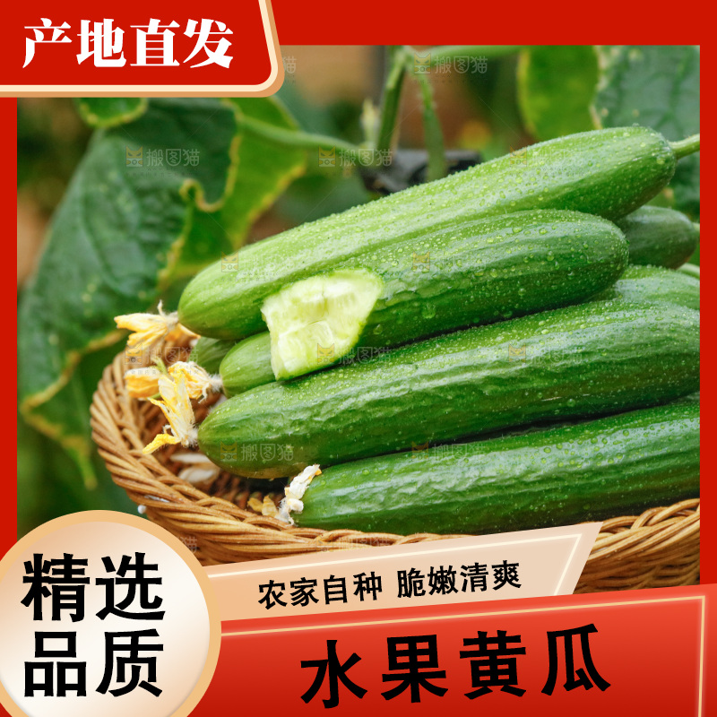 篮子里的水果黄瓜