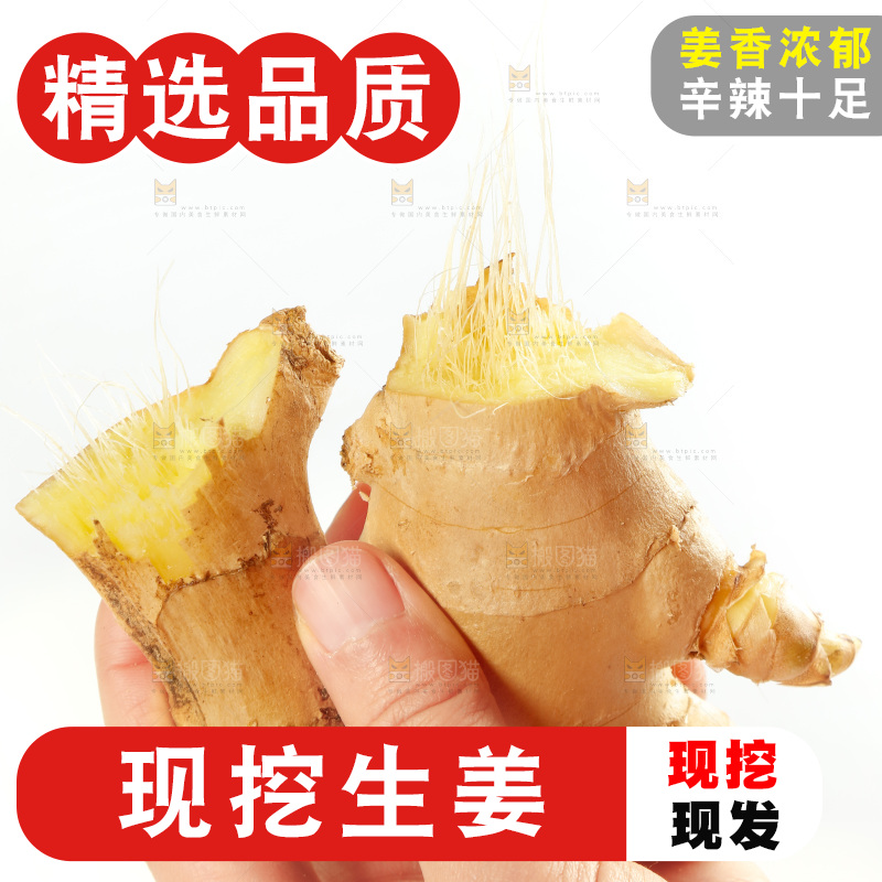 手里拿着生姜