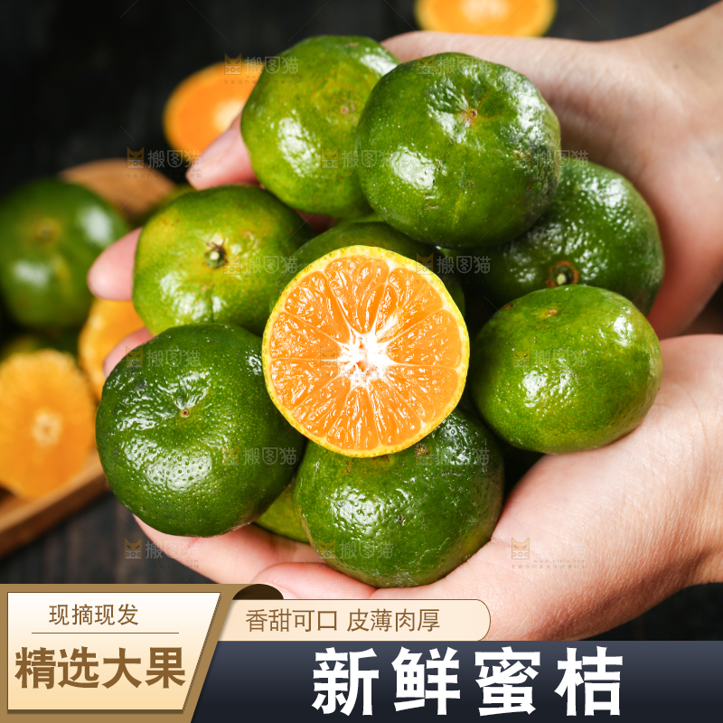 手里捧着广西清香蜜桔