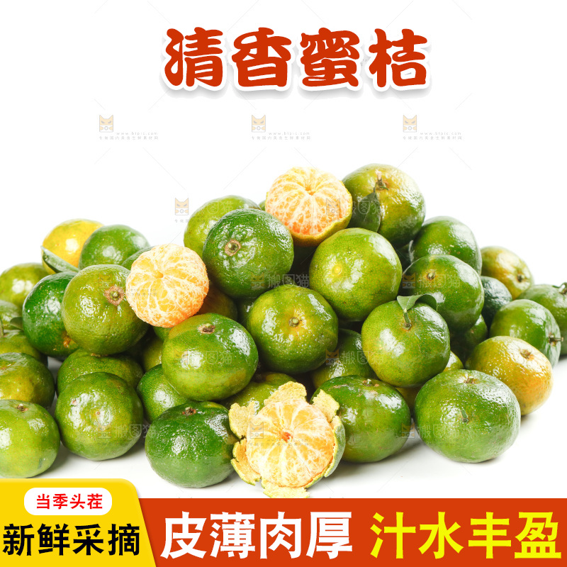 白底上一堆清香茶橘