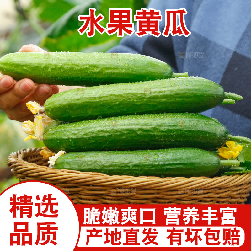 手里端着一篮水果黄瓜
