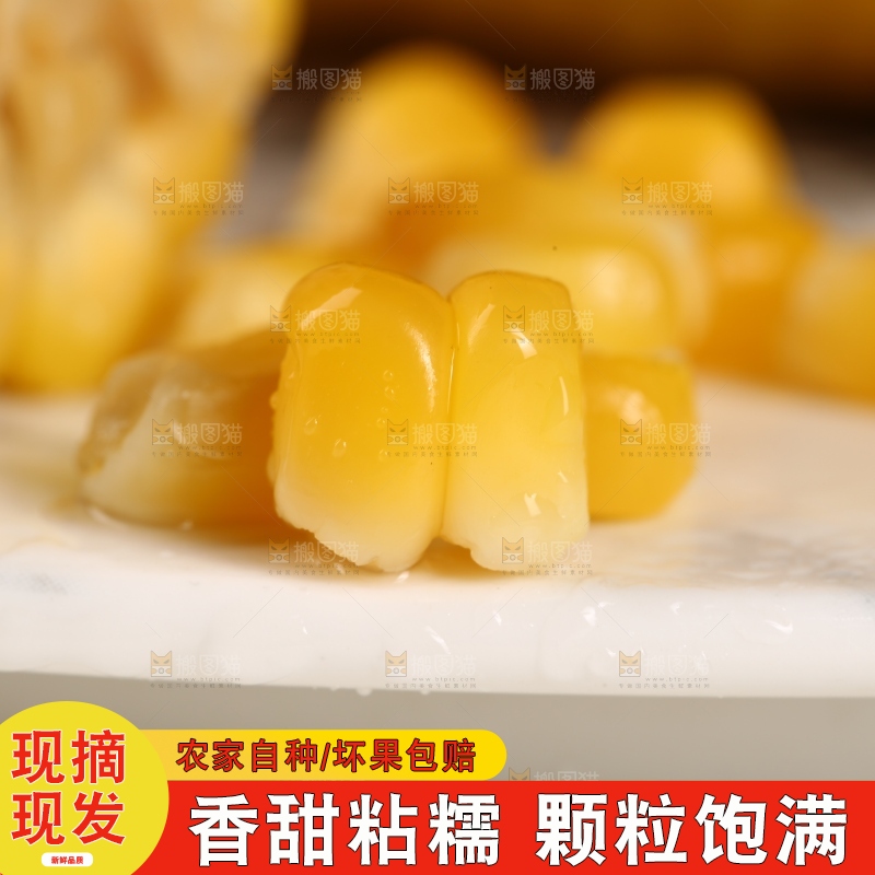 盘子里的甜糯玉米