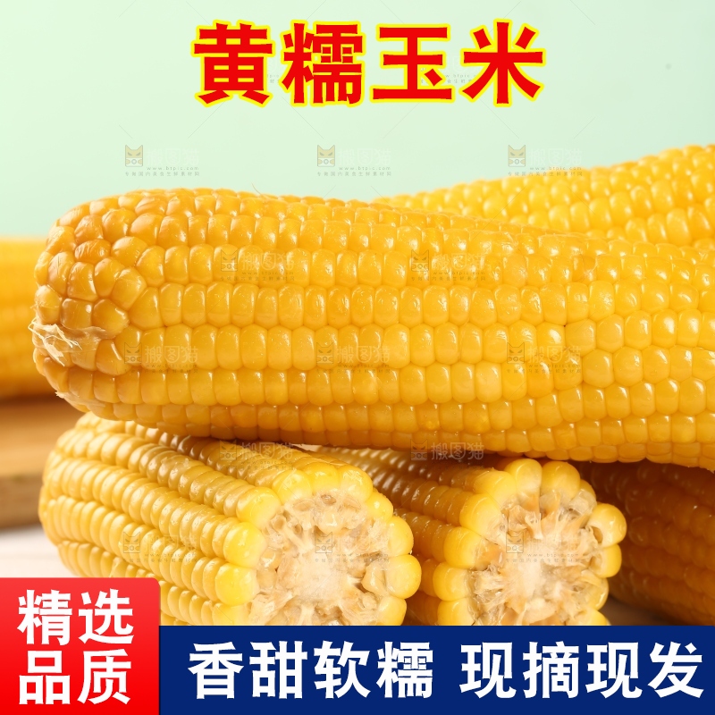 白底上放着一盘黄糯玉米