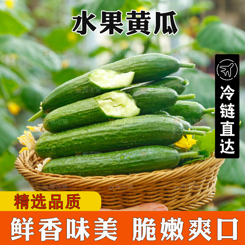 手里端着一篮水果黄瓜