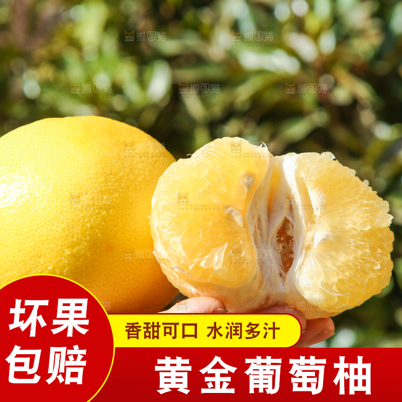 手里拿着黄金葡萄柚