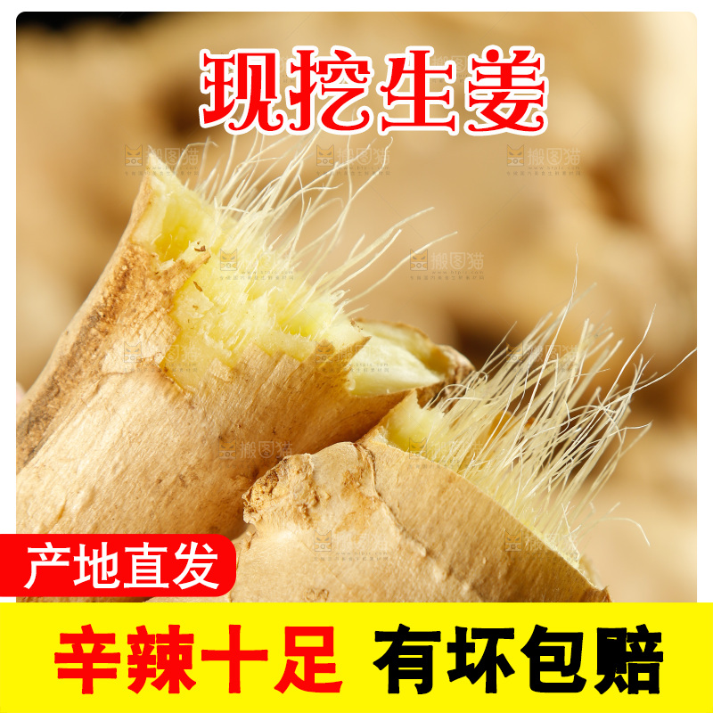 手里拿着生姜
