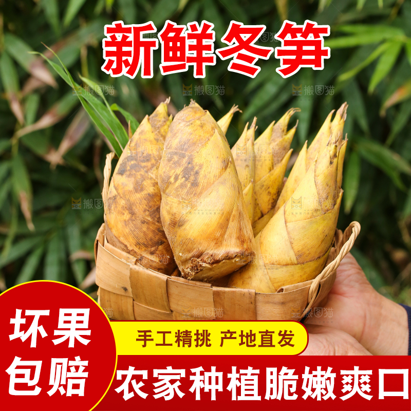 手里端着一篮黄泥冬笋