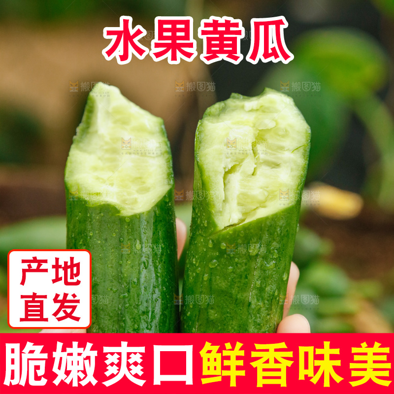 手里拿着掰开的黄瓜