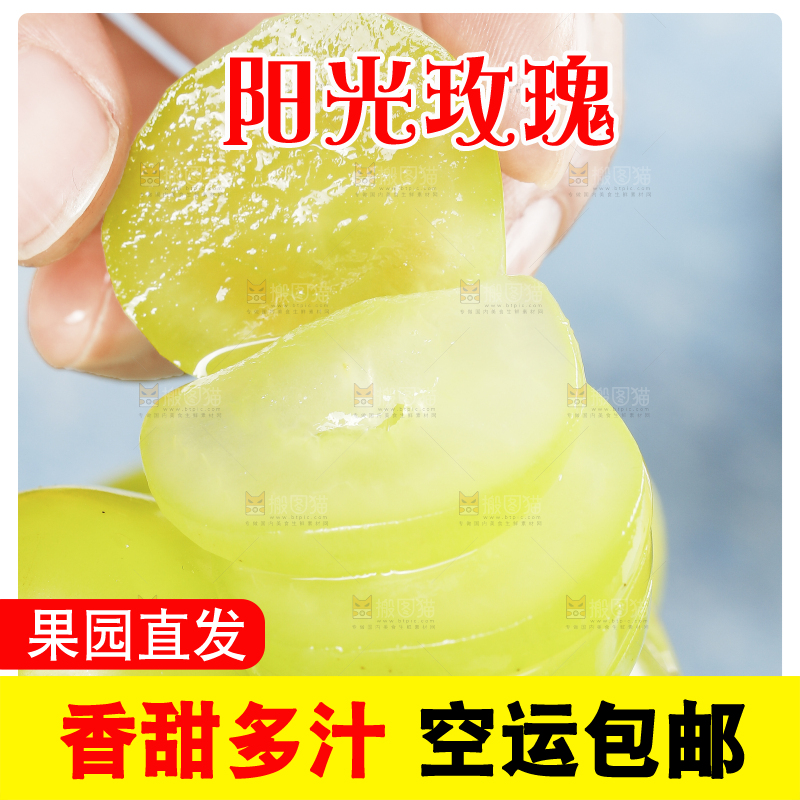 手时拿着切开的阳光玫瑰葡萄