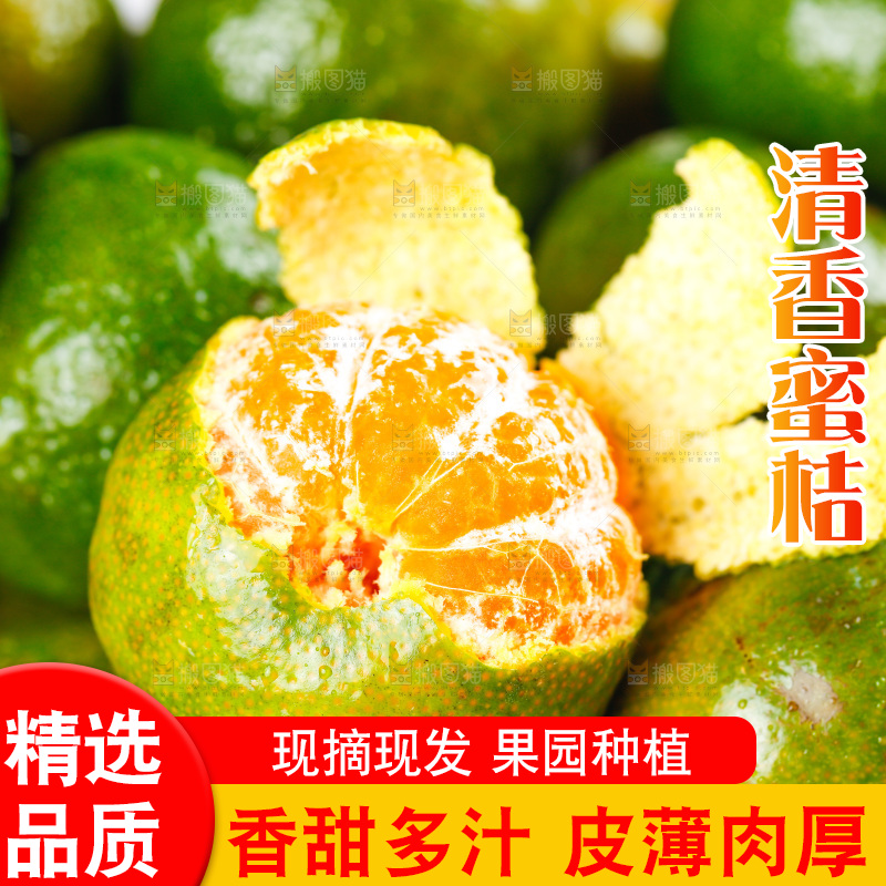 筐子里装着清香茶橘