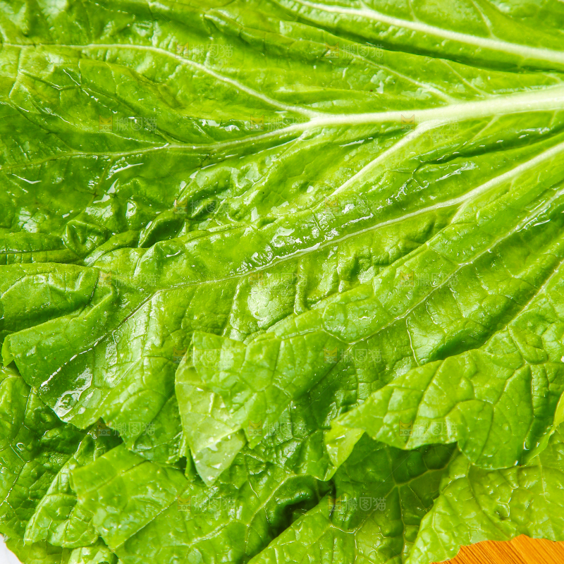 木盘里放着饭包叶