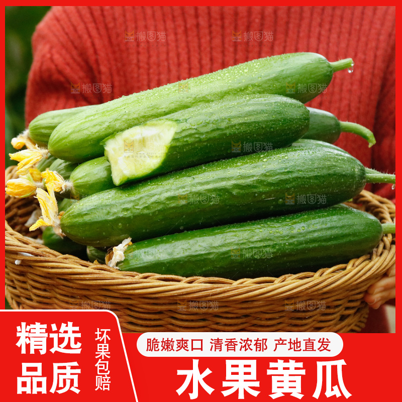 手里端着一篮水果黄瓜