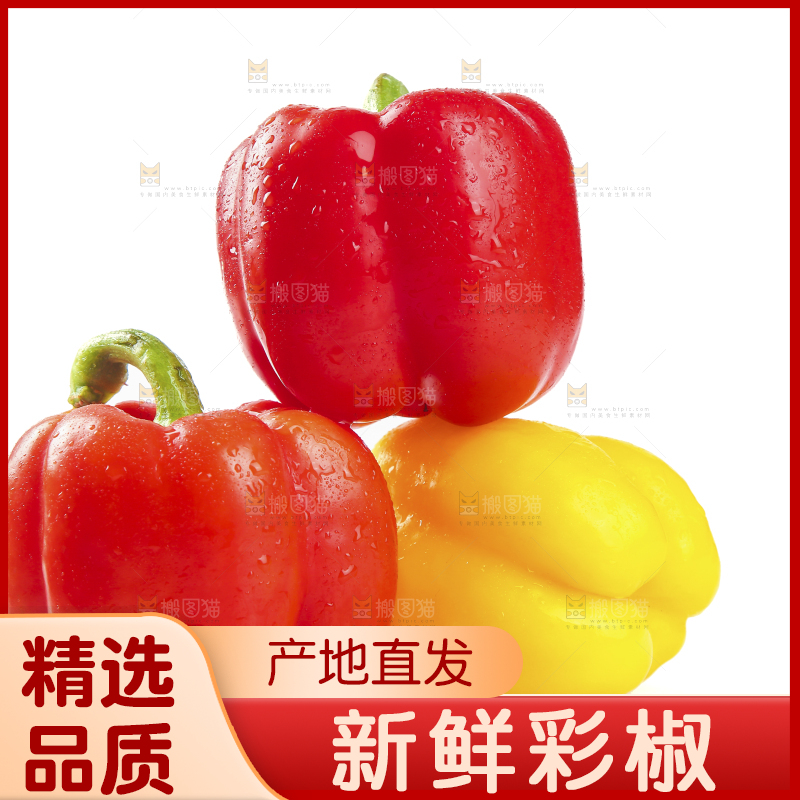 白底上的五彩椒