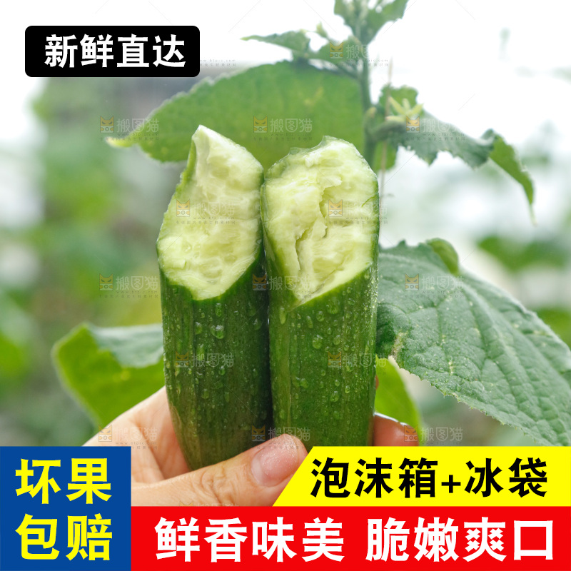 手里拿着掰开的黄瓜