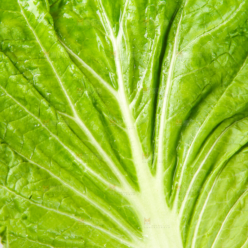 木盘里放着饭包叶