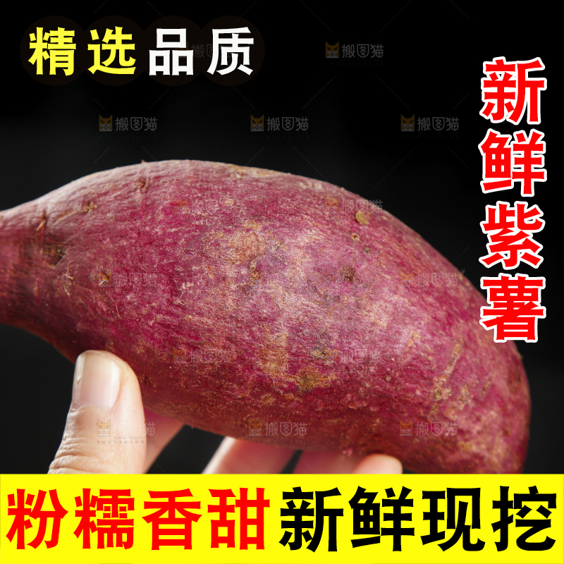 手里拿着大紫薯