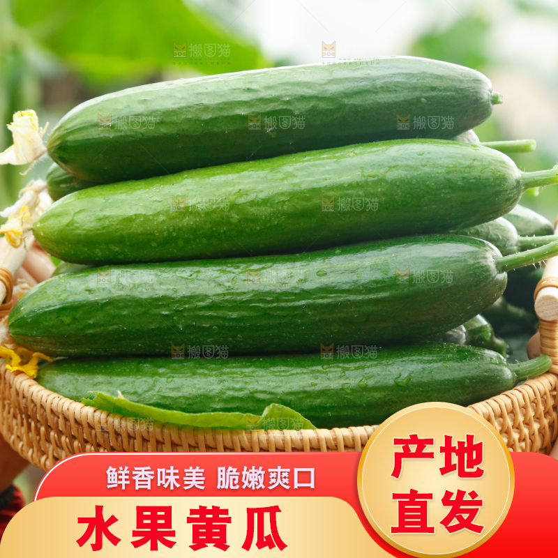 手里端着一篮水果黄瓜
