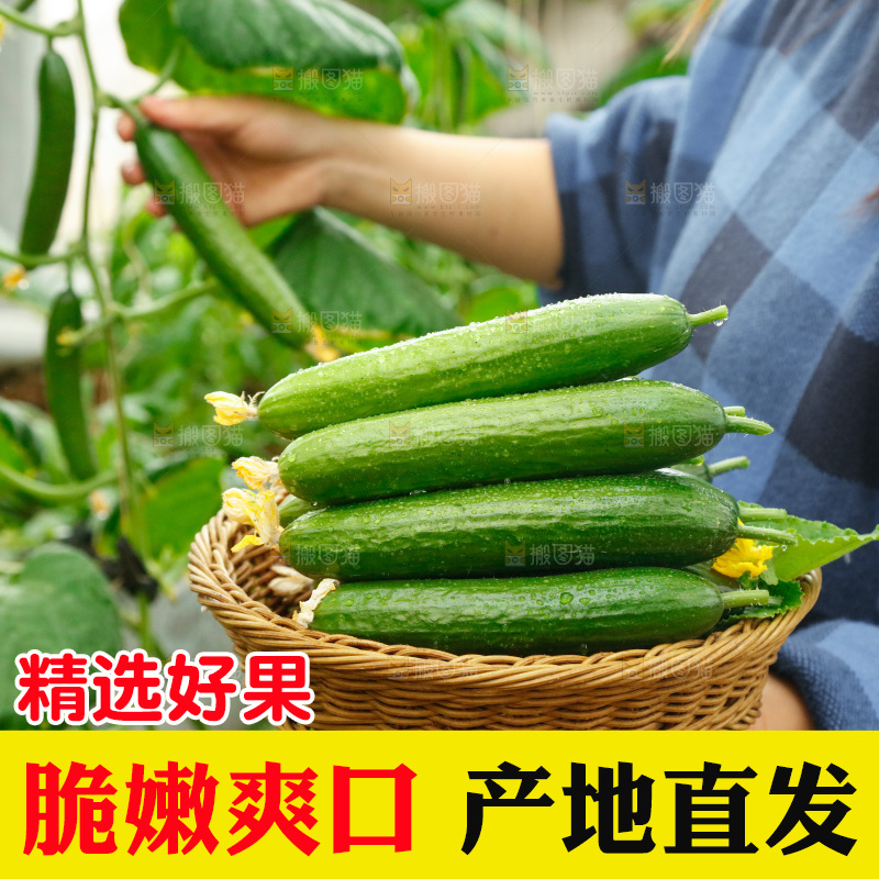 手里端着一篮水果黄瓜