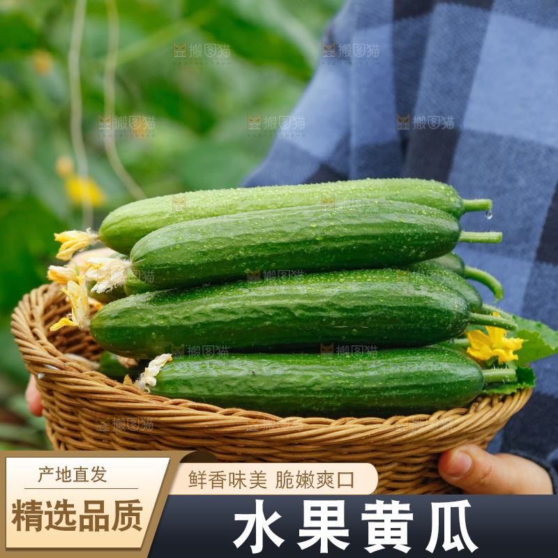 手里端着一篮水果黄瓜