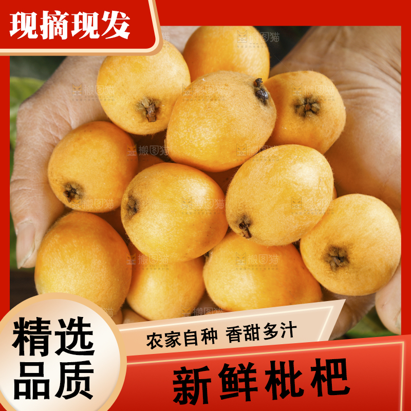 手里捧着枇杷