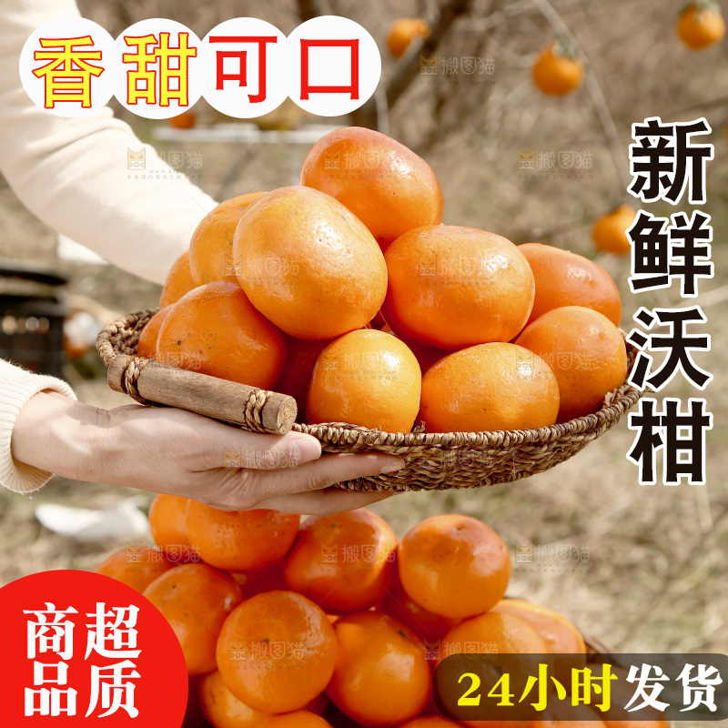 手里端着一篮广西武鸣沃柑