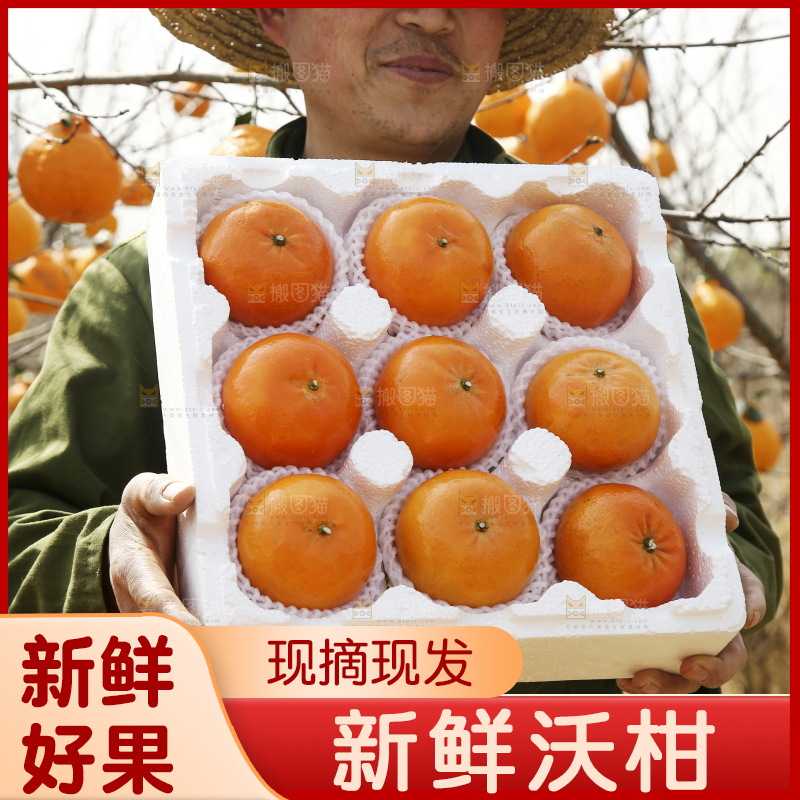 手里抱着一箱广西武鸣沃柑