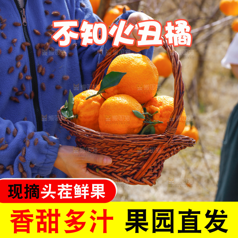 手里提着一篮丑橘