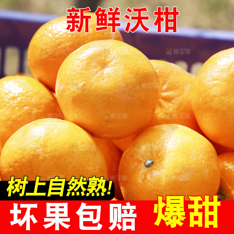 框子里装着广西沃柑