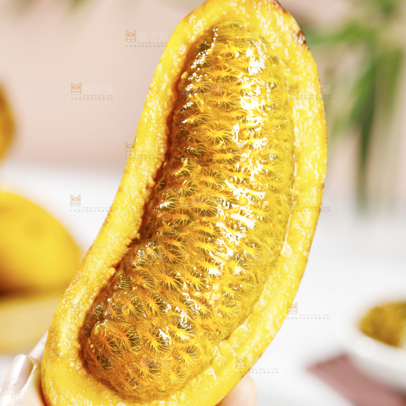 手里拿着九月瓜